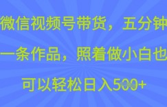 微信视频号带货，五分钟一条作品，照着做小白也可以轻松日入5张