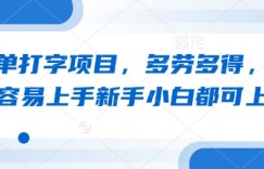 简单打字项目，多劳多得，轻松容易上手新手小白都可上手