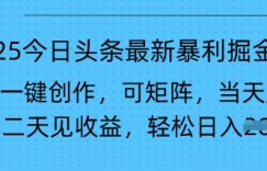2025今日头条最新暴利掘金玩法，AI一键创作，可矩阵，当天起号，第二天见收益轻松日入多张