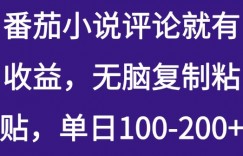 番茄小说评论就有收益，无脑复制粘贴，单日100-200+