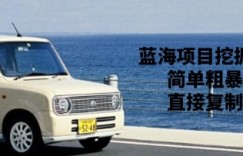 蓝海项目挖掘术，简单粗暴，直接复制