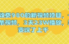 外面收费980的新视频项目，一分钟一条视频，3天23W播放，当天变现了上千