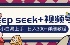 deepseek+视频号新风口，人生感悟图文赛道零基础掘金攻略，小白3天上手，日入3张