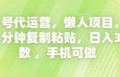 公众号代运营，懒人项目，每天5分钟复制粘贴，日入3位数 ，手机可做