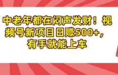 中老年都在闷声发财，视频号新项目日入多张，有手就能上车