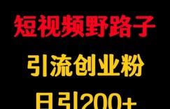短视频野路子引流创业粉，日引200+