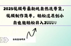 2025视频号最新纯自然流带货， 视频制作简单，轻松过原创小 白也能轻松操作