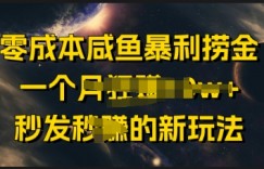 零成本咸鱼暴利捞金，一个月收益过w+，秒发新玩法