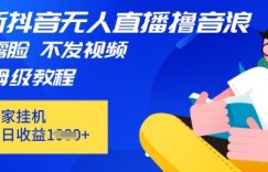 最新DY无人直播撸音浪，不用露脸、不用发视频，在家挂机就能单日收益数张保姆及教程