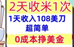 0成本挣美金，超简单，1天收入108刀，2天收米一次，实战教程，首次公开