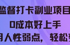监督打卡副业新玩法，0成本好上手，利用人性的弱点轻松变现
