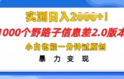2025抖音1000个野路子信息差最新玩法，一分钟过原创，暴力变现月入几k