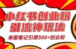 25年最新实测小红书爆文日引500+创业粉