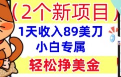 2个新项目，轻松挣美金， 1天收入89美刀，小白专属，干货分享