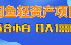 闲鱼轻资产项目，适合新手小白，日入多张