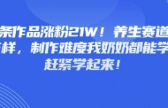 20条作品涨粉21W！养生赛道又出新花样，制作难度我奶奶都能学会，赶紧学起来