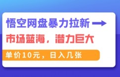 悟空网盘暴力拉新：一单10元，市场空白，日入几张