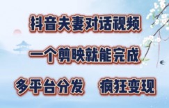 有手就会，抖音夫妻对话视频，一个剪映就能完成，多平台分发，疯狂涨粉