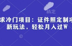 高需求冷门项目：证件照定制项目最新玩法，轻松月入过W