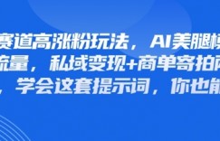 美女赛道高涨粉玩法，AI美腿模特引爆流量，私域变现+商单寄拍两不误，学会这套提示词，你也能做