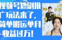 视频号短剧推广最新玩法，简单搬运单月收益过W，小白也能轻松上手