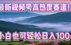 视频号爆款新赛道，AI生成怀旧老哥视频，零门槛操作，日收益100+