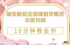 萌宠新玩法猫咪做菜爆款流量视频，10分钟教会你