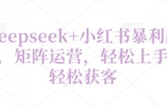 Deepseek+小红书暴利起号，矩阵运营，轻松上手，轻松获客