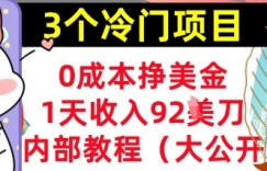 3个冷门项目，0成本挣美金，1天收入92刀，超简单， 内部教程(首次公开)