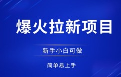 爆火拉新项目，有手就行，小白轻松入门，日入1张拉新整套流程