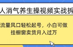 古人消气养生操视频实战拆解，流量风口轻松起号，小白可做，挂橱窗卖货月入过W