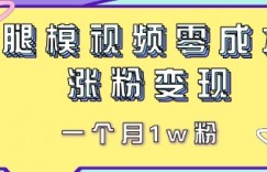 腿模视频，零成本涨粉变现，一个月1w粉
