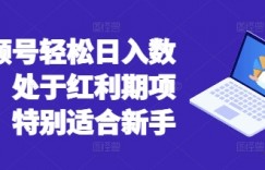 视频号轻松日入数张，处于红利期项目，特别适合新手