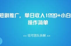 AI+短剧推广，单日收入几张小白可玩，操作简单