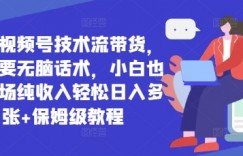 最新视频号技术流带货，只需要无脑话术，小白也能单场纯收入轻松日入多张+保姆级教程
