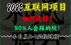 2025年互联网项目搞钱方法论，全是干货，肺腑之言，新手从0-1必经过程，边看边实操