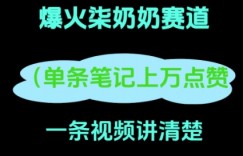 小红书爆火柒奶奶，13 天涨粉 8.7 W，全流程拆解