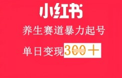 小红书养生赛道，暴力起号，轻松日入3张+