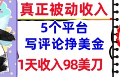 写评论挣美金的5个平台，1天收入98美刀，0门槛，真正被动收入