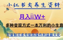 在小红书上卖养生资料，月入1w+，多种变现方式一本万利的小生意