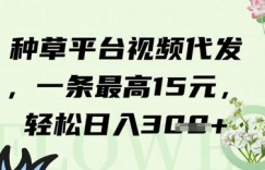 种草平台视频代发，一条最高15元，轻松日入3张