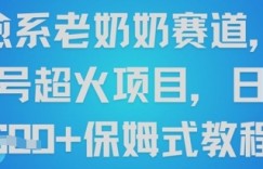 治愈系老奶奶赛道，视频号超火项目，日入6张+保姆式教程