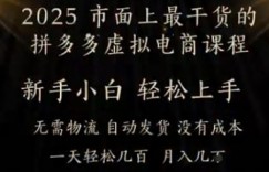 25年最干货的拼多多虚拟电商课程，小白轻松上手，月入过w只是门槛!虚拟电商，如皓月见青天
