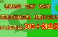 被忽略的“宝藏”视频号引流精准创业粉单人单日引流200+精准粉