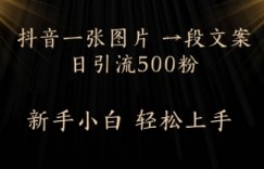 每天2分钟，抖音一张图片 一段文案日引流500粉