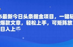 2025最新今日头条掘金项目，一键轻松生成爆款文章，轻松上手，可矩阵放大，日入几张