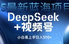 25最新蓝海项目DeepSeek+视频号，小白易上手日入几张
