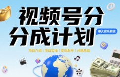视频号2025治愈系新赛道，100%原创视频，几分钟一条原创视频