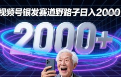 蝴蝶号银发赛道流量密码野路子日入多张