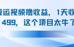 搬运抖音中视频撸收益，1天收入多张，这个项目太牛了